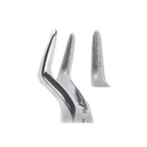 Extracting Forceps With Anatomically Shapad Handl
