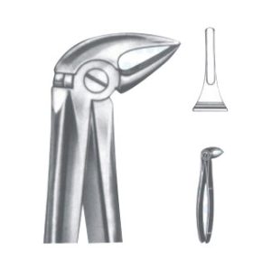 Extracting Forceps – English Pattern