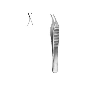 Dissecting Forceps