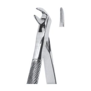 Extracting Forceps – English Pattern