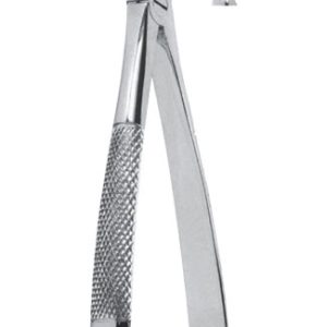 Extracting Forceps – English Pattern