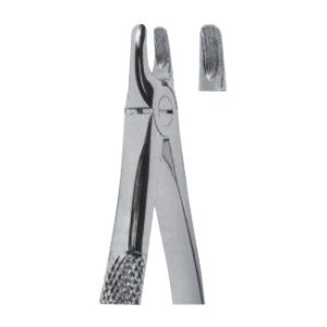 Extracting Forceps – English Pattern