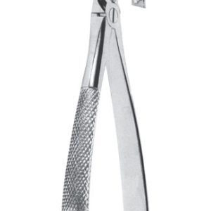 Extracting Forceps – English Pattern