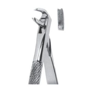 Extracting Forceps – English Pattern