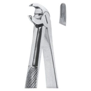 Extracting Forceps – Mead Pattern