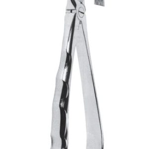 Extracting Forceps – Mead Pattern