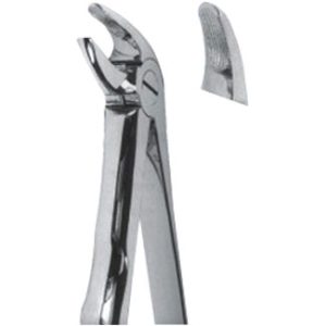 Extracting Forceps – Mead Pattern