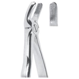 Extracting Forceps – Mead Pattern